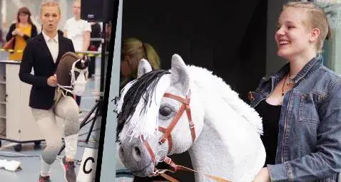 Horse Riding