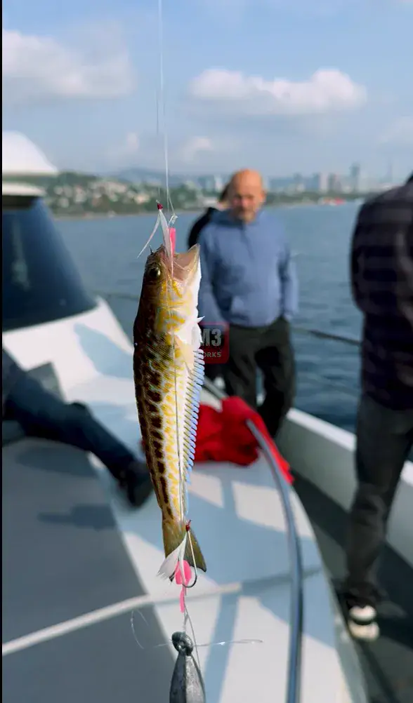 Fishing8