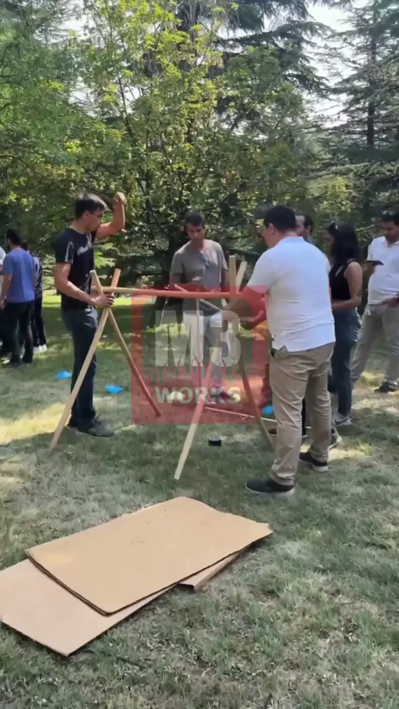 Angry Birds: Catapult Wars4