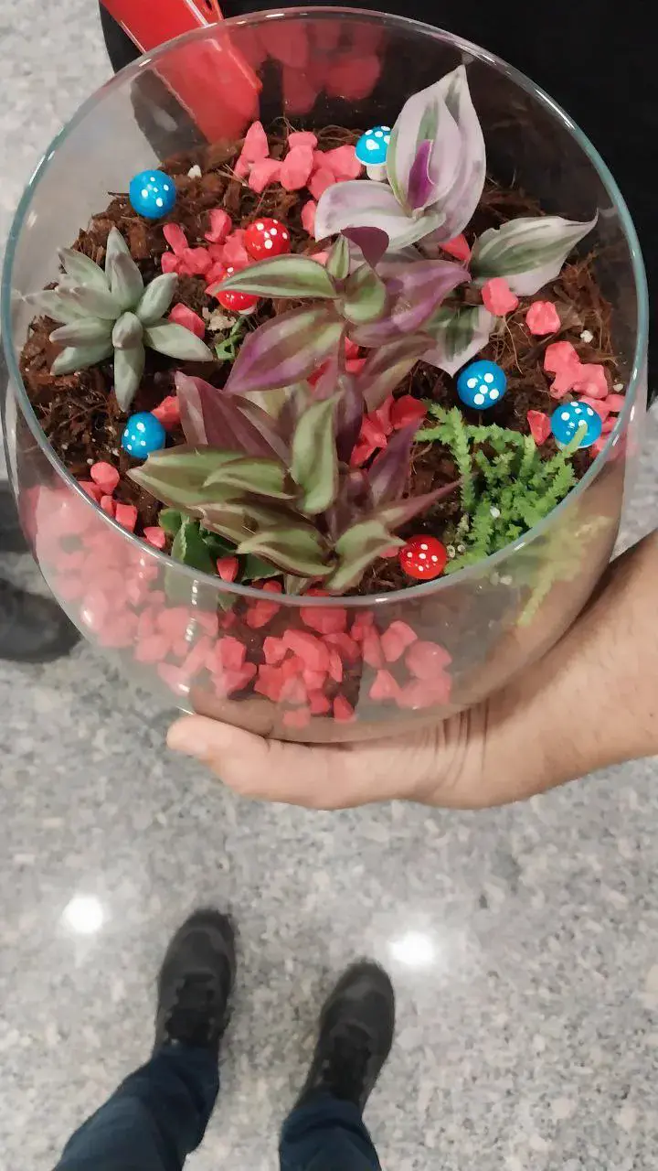 Terrarium & Grass Head Workshop5