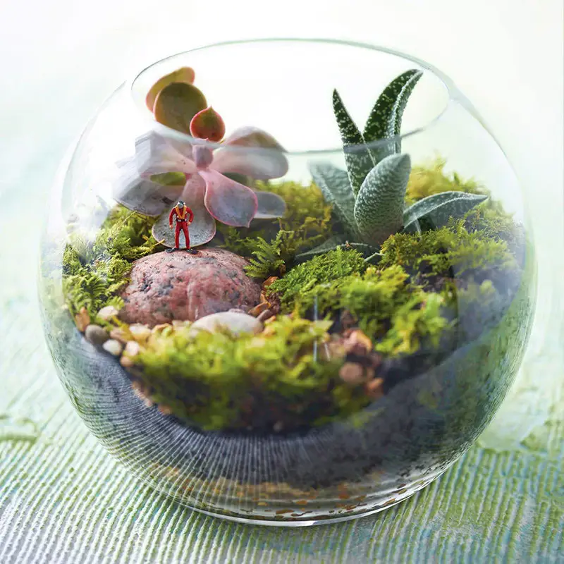 Terrarium & Grass Head Workshop8